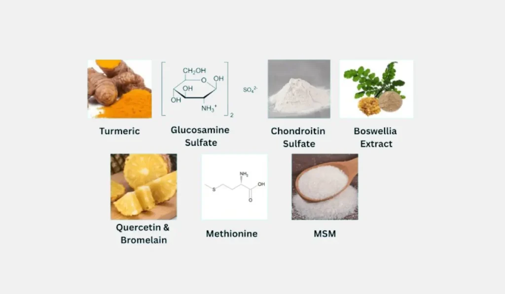 Joint Eternal Ingredients